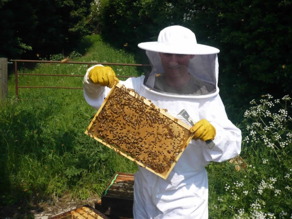 Belediye arazisinde arıcılık yapılacak