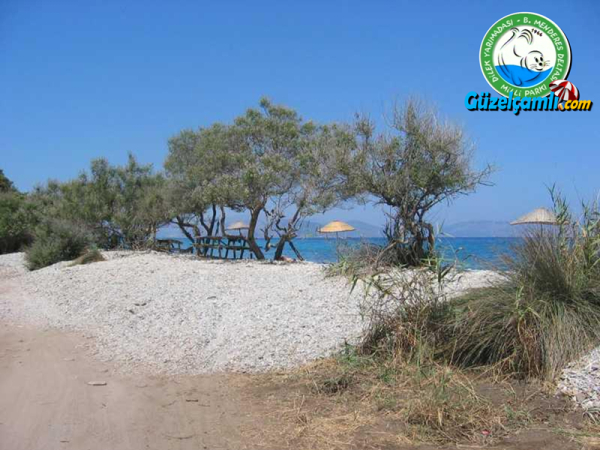 Aydınlık Koyu